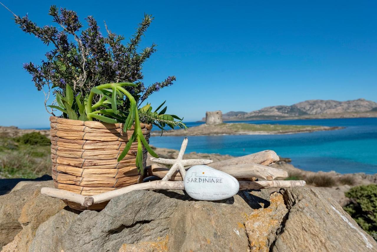 Sardinia Re - Villa Pelosa สตินติโน ภายนอก รูปภาพ