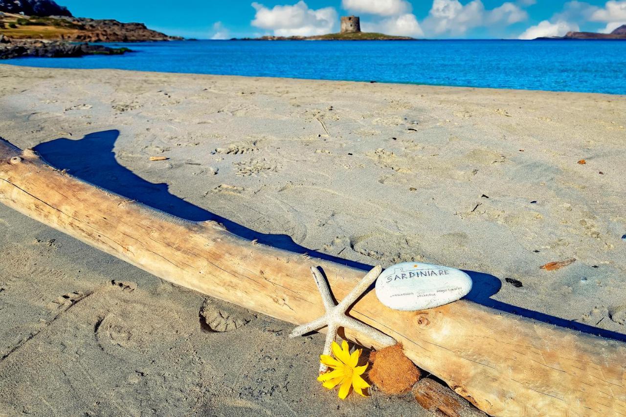 Sardinia Re - Villa Pelosa สตินติโน ภายนอก รูปภาพ